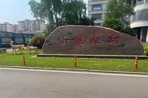 安装售后加培训-史蒂芬学院走进仙桃妇幼！